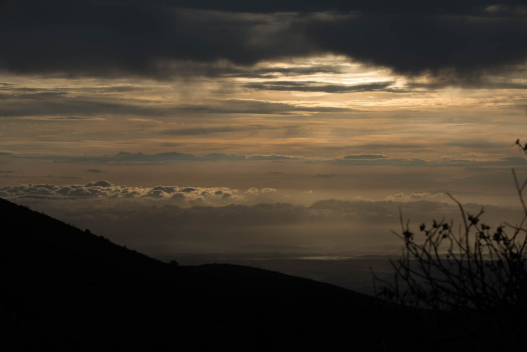 Monte Pisani at Dusk